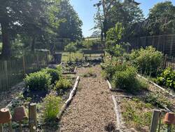 Bauerngarten mit Obstbäumen und Beerensträuchern