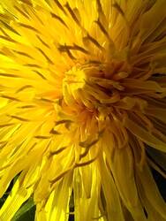 IMG_20250327_124837.jpg