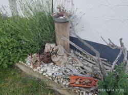 IMG_20230614_172355.jpg