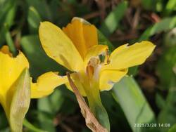 IMG_20250328_140851.jpg