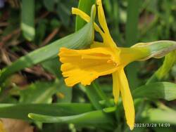 IMG_20250328_140906.jpg