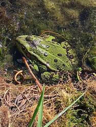 IMG_20250405_160516.jpg