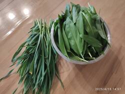 IMG_20250415_145756.jpg
