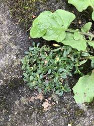IMG_6211.jpeg
