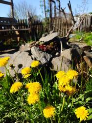 20250420_101423446.JPG (399 KiB) 6984 mal betrachtet Frohe Ostern