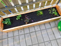 DSCN2759.JPG