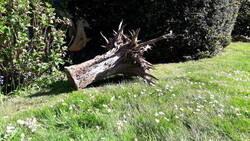 20200506_165724.jpg