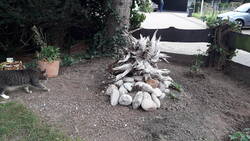 20201013_150530.jpg