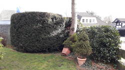 20200128_134442.jpg