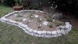 20200613_124404.jpg
