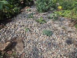 20250423_163912.jpg (399.44 KiB) 4459 mal betrachtet 20250423_163912.jpg