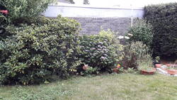 20200709_172422.jpg