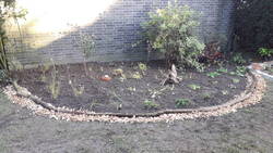 20201006_174917.jpg