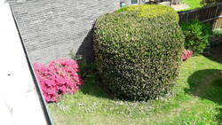 20200502_115734.jpg