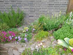 20220606_175929.jpg