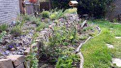 20210524_090734.jpg