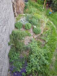 20230514_191836.jpg