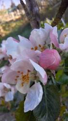 20250416_082829.jpg