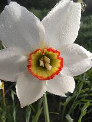 IMG_20250430_080019.jpg