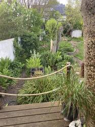 IMG_3562.jpeg