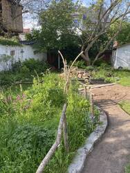 IMG_3541.jpeg