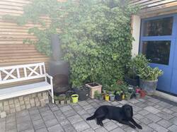 IMG_3557.jpeg