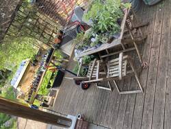 IMG_3553.jpeg