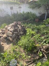 IMG_3544.jpeg