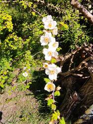 IMG_20250505_111714.jpg