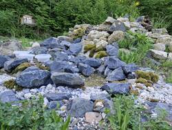 20250506_091454.jpg