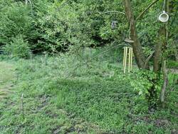 20250506_092020.jpg