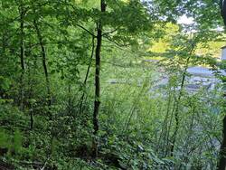 20250506_093135.jpg