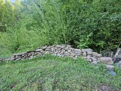 20250506_092346.jpg