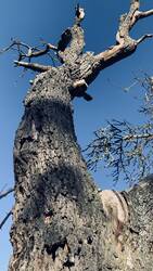 IMG_8629.jpeg