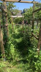 IMG_6465.jpeg