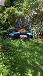 IMG_7211.jpeg