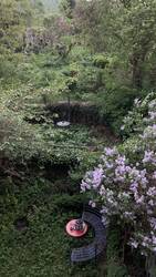 IMG_8906.jpeg
