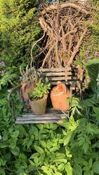 IMG_6005.jpeg