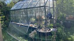 IMG_8968.jpeg