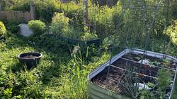 IMG_8969.jpeg