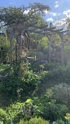 IMG_8970.jpeg