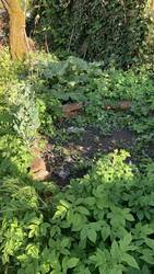 IMG_8973.jpeg