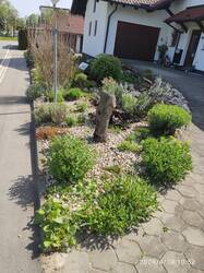 IMG_20250511_193818.jpg