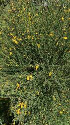 IMG_8940.jpeg