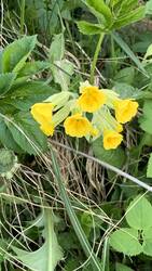IMG_8881.jpeg