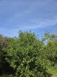 20250514_125651.jpg