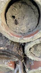 IMG_8983.jpeg
