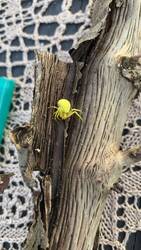 IMG_8966.jpeg