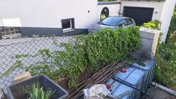 20250514_080903.jpg