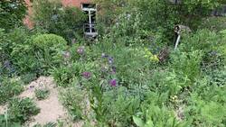 IMG_9113.jpeg